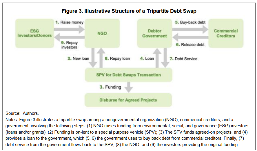 Can Debt-for-Climate swaps help Sri Lanka? – Researching and Shaping ...